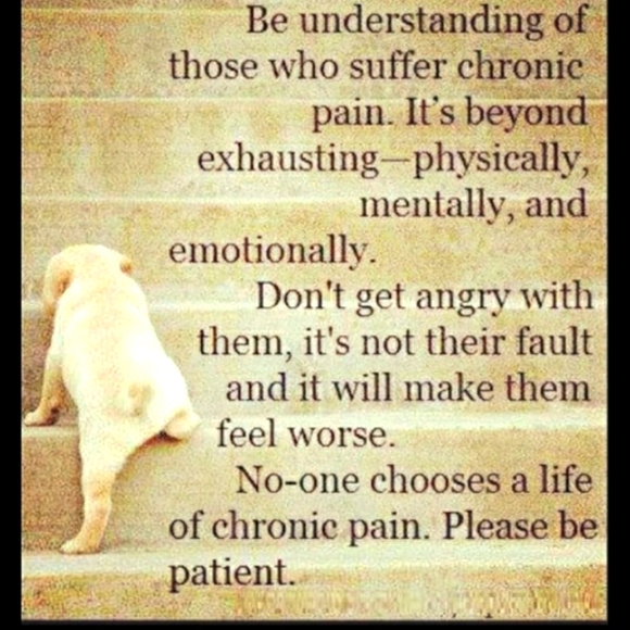 ⚜️  Pewter Cat Ornate Stocking Frame Holder 1990's - Picture 3 of 16